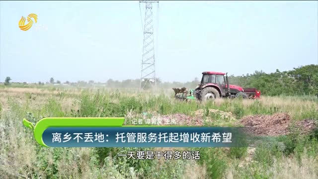 離鄉(xiāng)不丟地：托管服務(wù)托起增收新希望