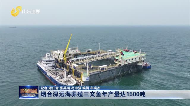 烟台深远海养殖三文鱼年产量达1500吨