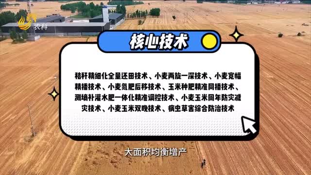 【建設(shè)更高水平的“齊魯糧倉(cāng)”】遭遇干旱也不怕 集成技術(shù)“大顯身手”
