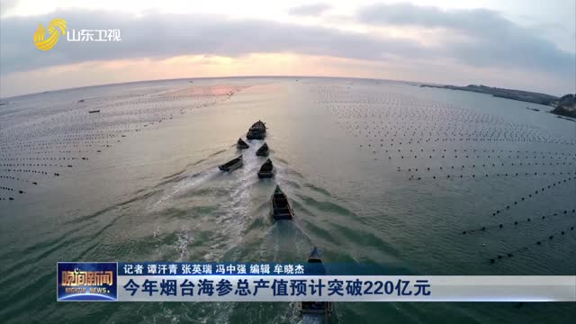 今年烟台海参总产值预计突破220亿元