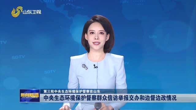 中央生态环境保护督察群众信访举报交办和边督边改情况【第三轮中央生态环境保护督察在山东】
