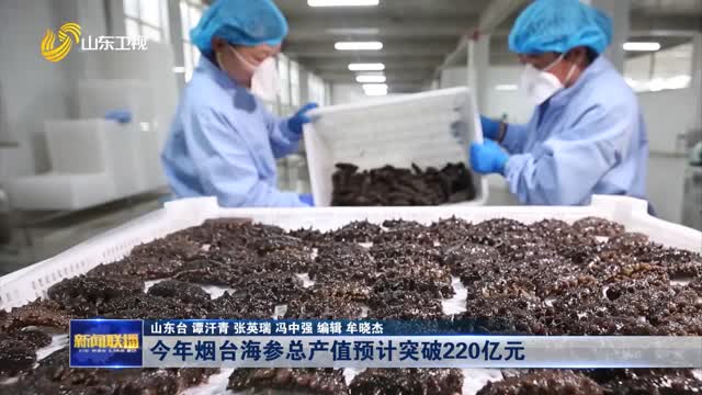 今年烟台海参总产值预计突破220亿元
