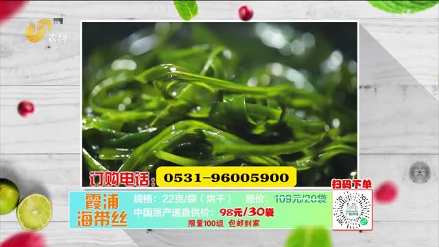 20250705《中国原产递》：霞浦海带丝