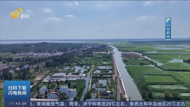 十萬畝荷花競綻放！微山島“山水畫卷”等你來打卡