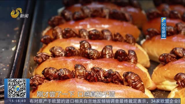 【夏日經(jīng)濟(jì)觀察】傳統(tǒng)食材新玩法 濟(jì)寧“知了猴面包”受追捧