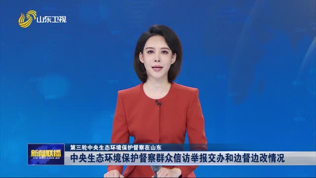 中央生态环境保护督察群众信访举报交办和边督边改情况【第三轮中央生态环境保护督察在山东】