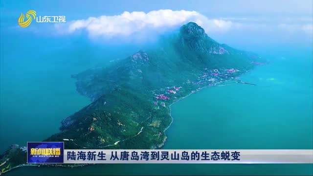 陸海新生 從唐島灣到靈山島的生態(tài)蛻變