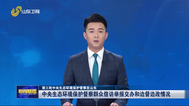 中央生态环境保护督察群众信访举报交办和边督边改情况【第三轮中央生态环境保护督察在山东】