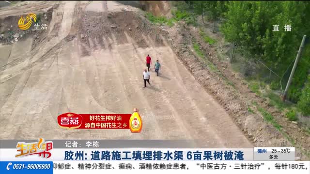 【帮办出马】胶州：道路施工填埋排水渠 6亩果树被淹