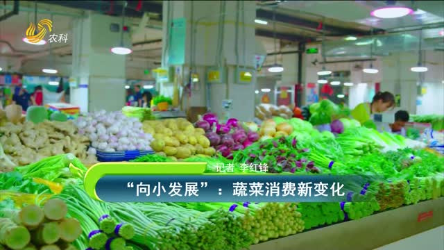 “向小發(fā)展”：蔬菜消費新變化