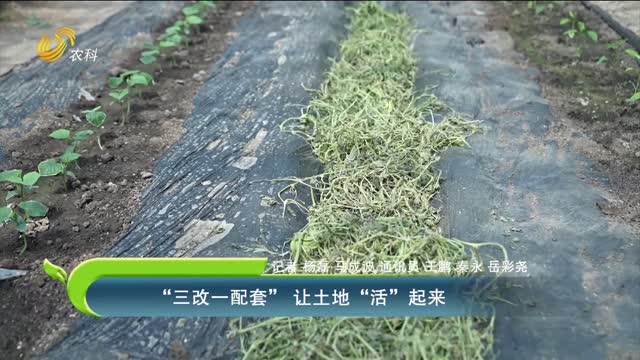 “三改一配套” 讓土地“活”起來
