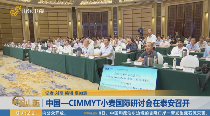中国—CIMMYT小麦国际研讨会在泰安召开