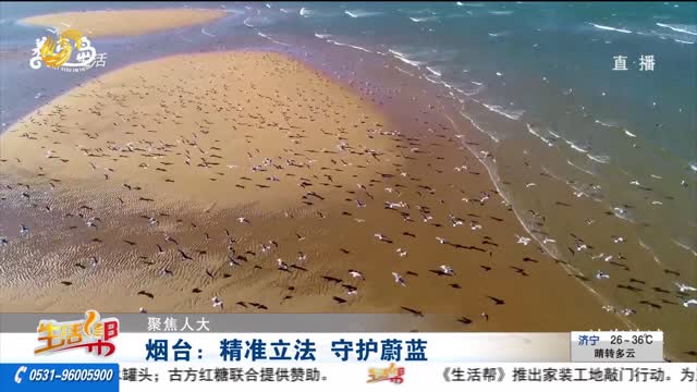 【聚焦人大】烟台：精准立法 守护蔚蓝