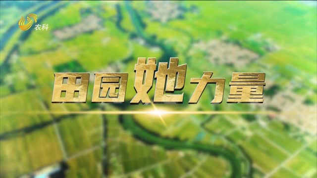 【田園“她”力量】張鳳然：從“笨鴨子”到“多面手”