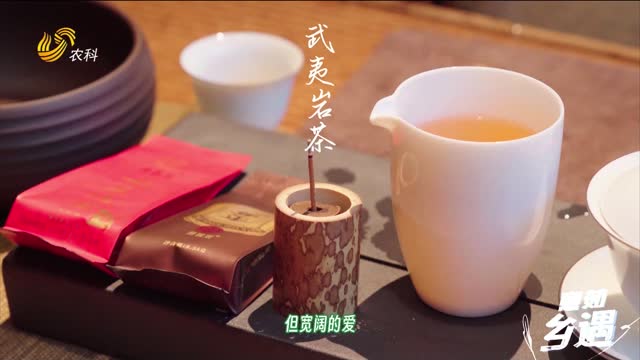 【意茹·鄉(xiāng)遇】一竹涼夏 一山清宿