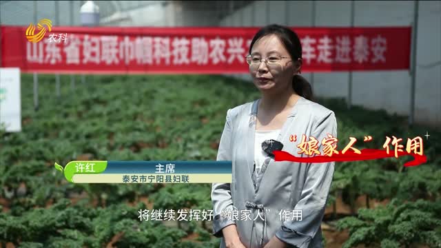 山東省婦聯(lián)巾幗科技助農(nóng)興農(nóng)直通車走進(jìn)泰安