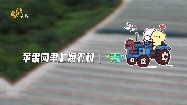 蘋果園里上演農(nóng)機(jī)“秀”