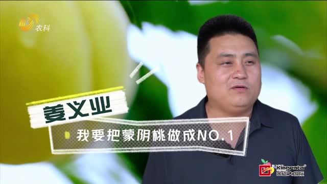 姜義業(yè)：我要把蒙陰桃做到NO.1