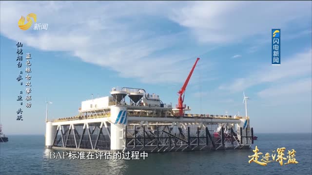 20250712《走进深蓝》：仙境烟台“参”“鱼”共跃 蓝色粮仓双擎驱动