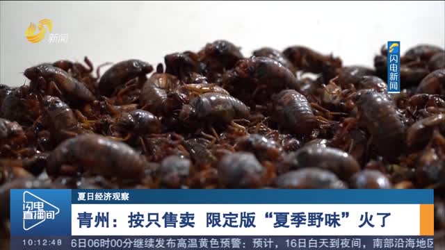 【夏日经济观察】青州：按只售卖 限定版“夏季野味”火了