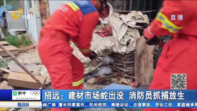 招远：建材市场蛇出没 消防员抓捕放生