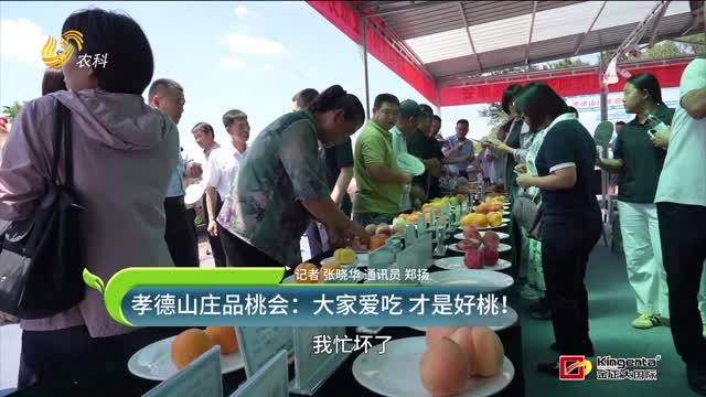 孝德山莊品桃會(huì)：大家愛(ài)吃 才是好桃！
