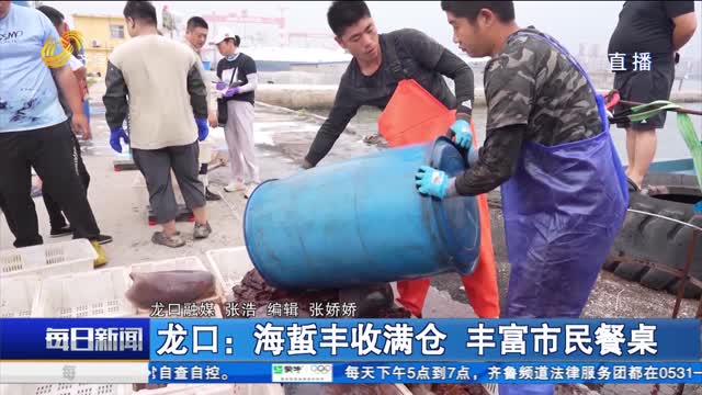 龙口：海蜇丰收满仓 丰富市民餐桌