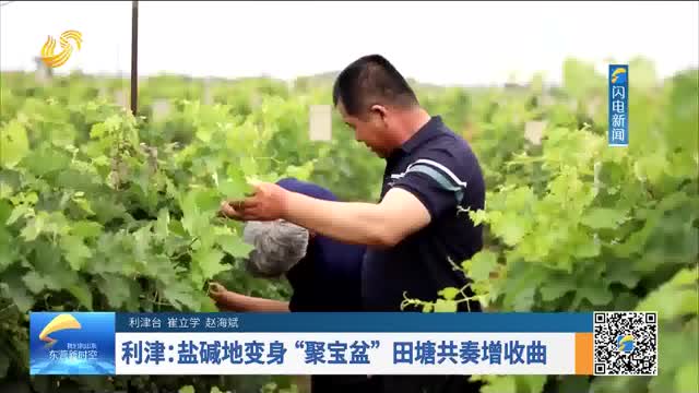 利津：盐碱地变身“聚宝盆” 田塘共奏增收曲