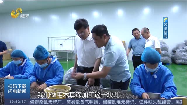 【問政追蹤】濟寧：力爭八月底把毛木耳精深加工納入高質量發展行動方案