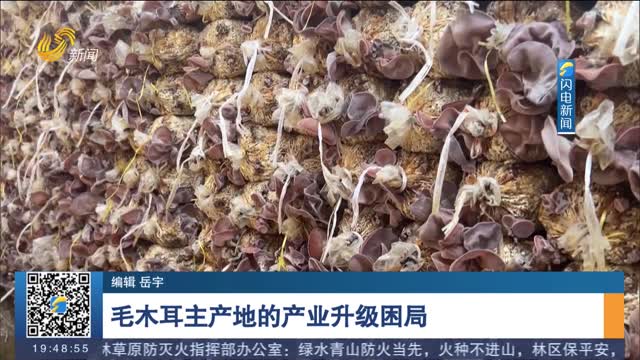 【直播問政 狠抓落實】毛木耳主產地的產業升級困局