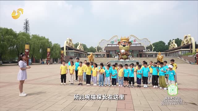 2025年07月20日《阳光少年行》完整版