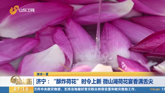 【清涼一夏】濟寧：“酥炸荷花”時令上新 微山湖荷花宴香滿舌尖