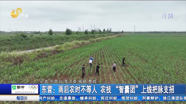 东营：雨后农时不等人 农技“智囊团”上线把脉支招