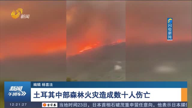 土耳其中部森林火灾造成数十人伤亡