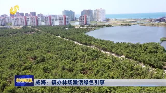 威海：镇办林场激活绿色引擎