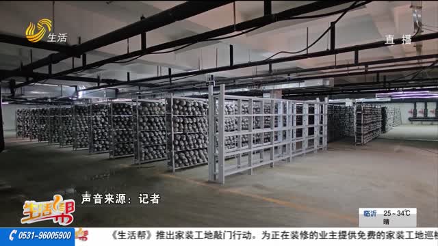 【重磅】地下車庫(kù)變“蘑菇基地” 異味擾民