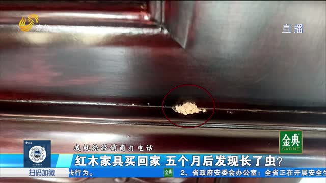 紅木家具買回家 五個月后發現長了蟲？
