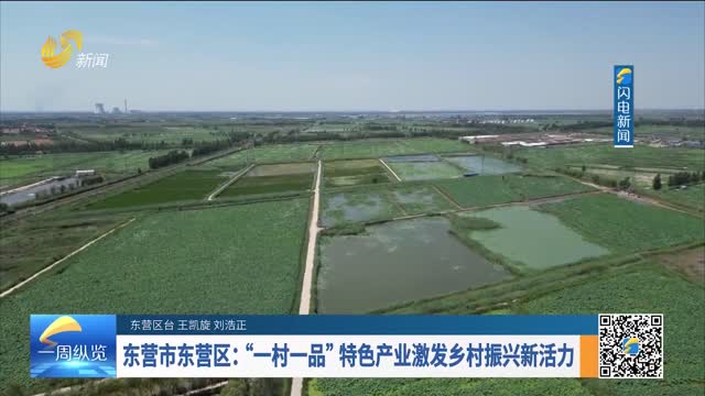 东营市东营区：“一村一品”特色产业激发乡村振兴新活力
