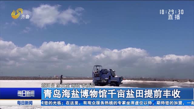 青岛海盐博物馆千亩盐田提前丰收