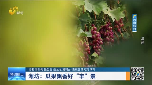 潍坊：瓜果飘香好“丰”景