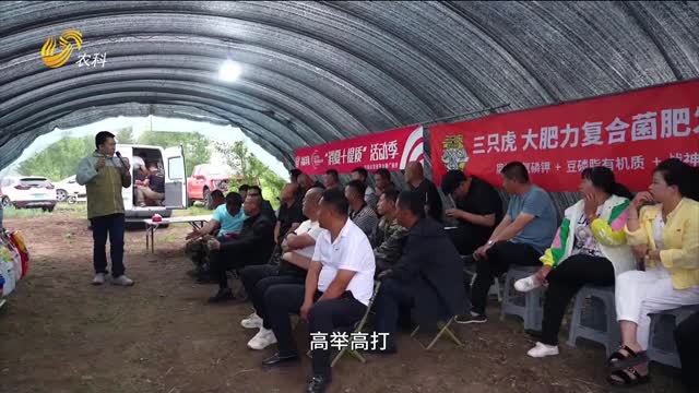 三只虎复合菌肥“增长王”冠军——陈祁