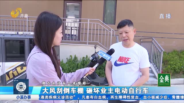 【小溪跑社區(qū)】大風(fēng)刮倒車棚 砸壞多輛電動(dòng)自行車