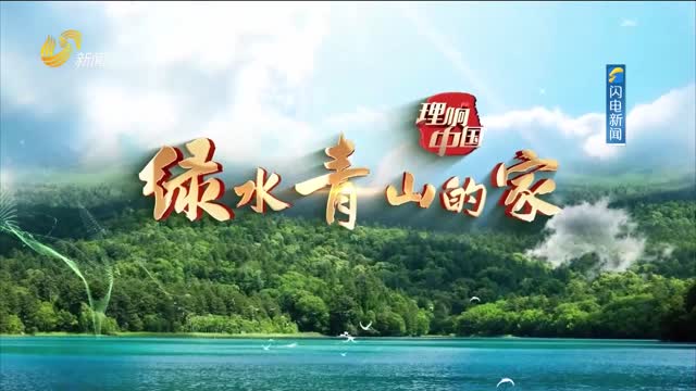 20250803《理响中国》：向绿向新