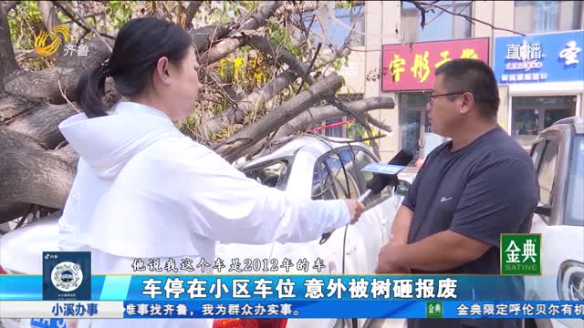 濟(jì)陽(yáng)：車停在小區(qū)車位 意外被樹砸報(bào)廢