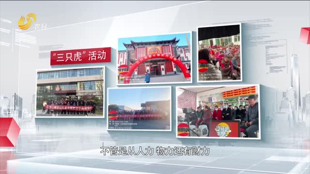 湯愛(ài)新：聚焦特肥十七載 與佐田氏共鑄“三只虎”傳奇