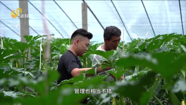 趙東輝：兩代人專銷(xiāo)堅(jiān)守 “肥二代”創(chuàng)新策略引爆“三只虎”銷(xiāo)量