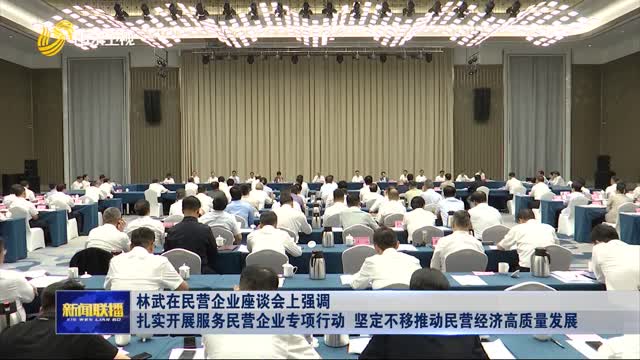 林武在民营企业座谈会上强调 扎实开展服务民营企业专项行动 坚定不移推动民营经济高质量发展