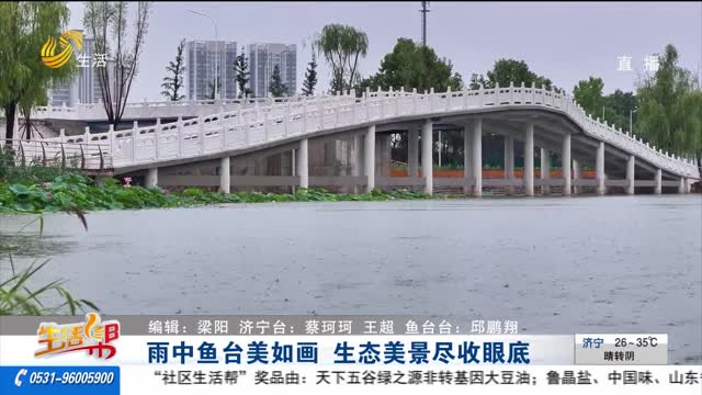 雨中鱼台美如画 生态美景尽收眼底