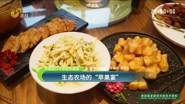 【蘋果姐打卡百家蘋果園】生態(tài)農(nóng)場的“蘋果宴”