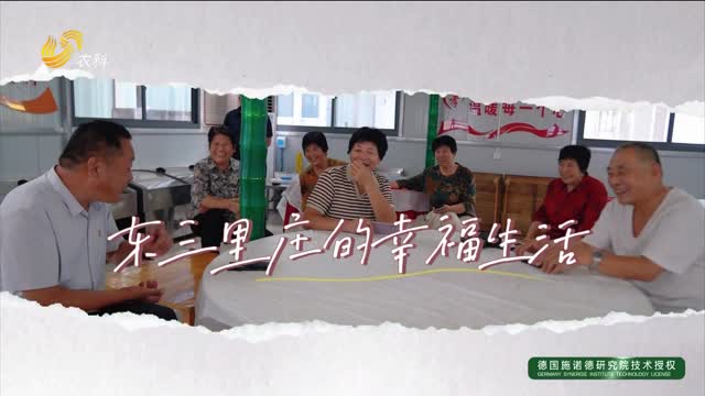 東三里莊的幸福生活